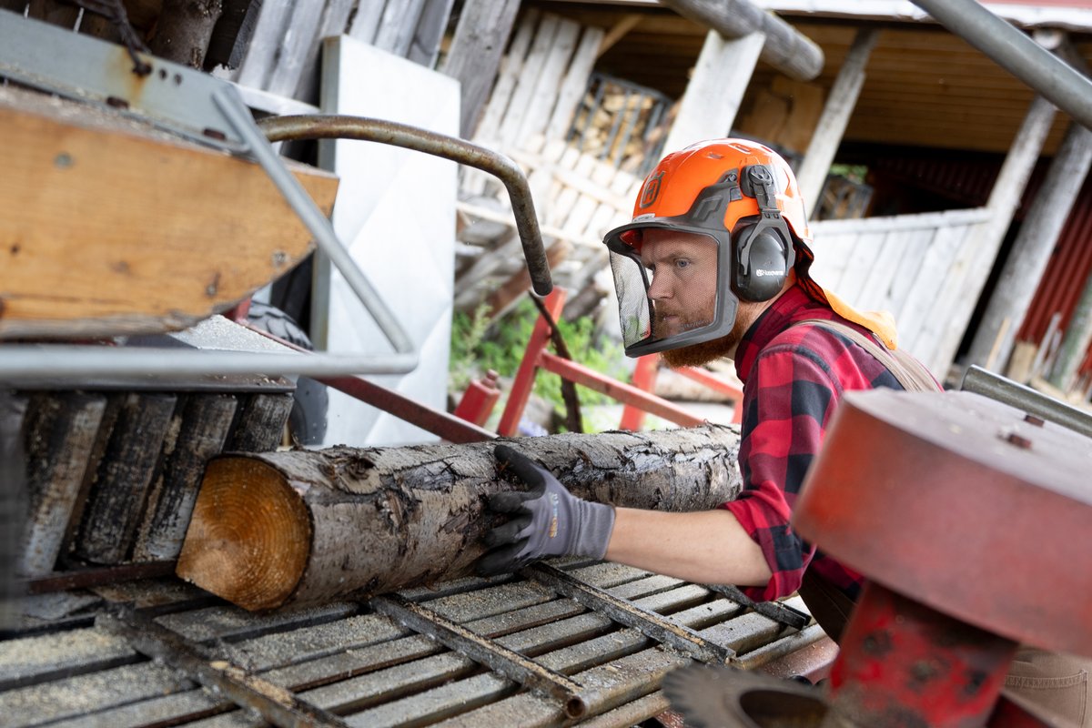 Skógrækt Reykjavíkur 08