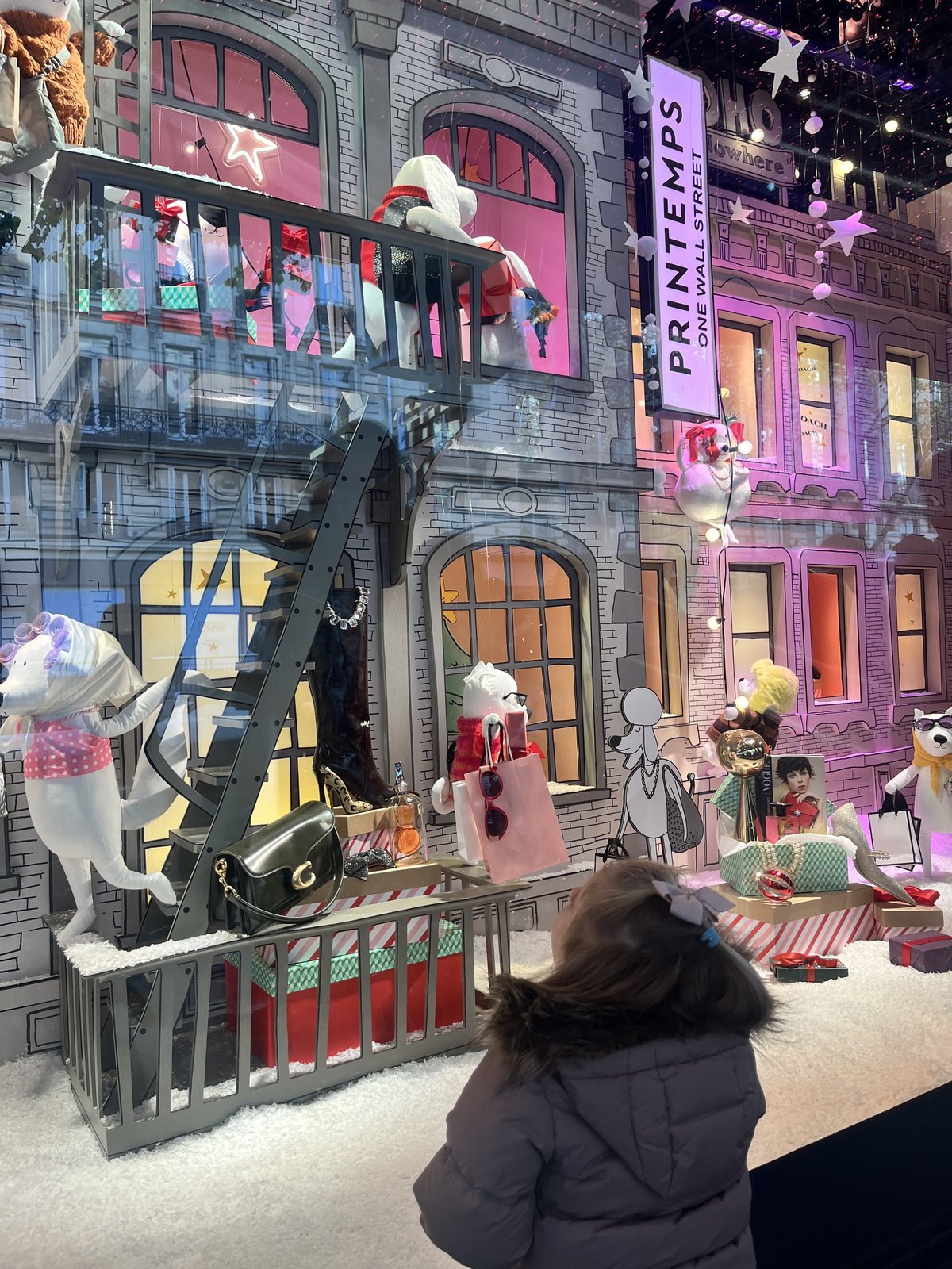 París - Printemps gluggaskreytingar