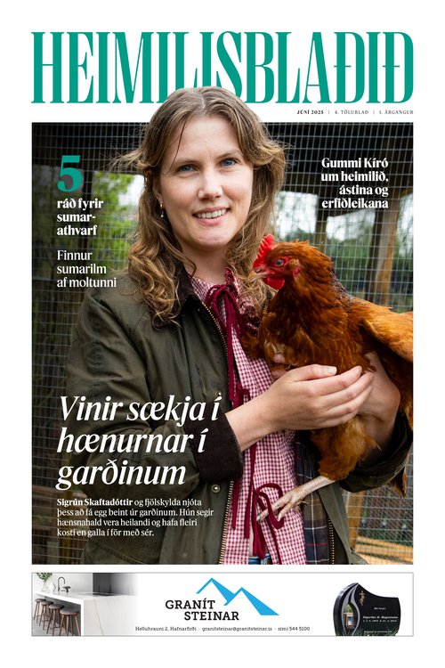 Heimilisblaðið #4