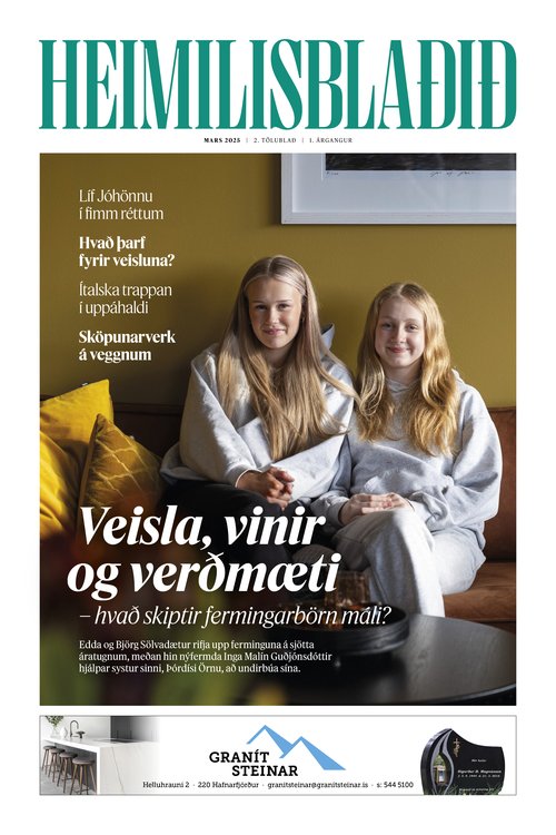 Heimilisblaðið #2